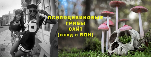 меф Белокуриха